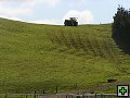 thn_NZ leden-unor 2006 140.jpg